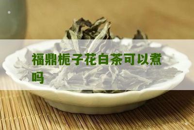 福鼎栀子花白茶可以煮吗