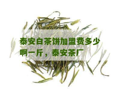 泰安白茶饼加盟费多少啊一斤，泰安茶厂