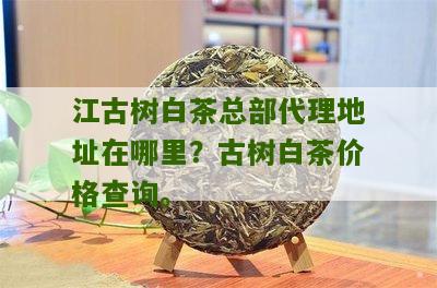 江古树白茶总部代理地址在哪里？古树白茶价格查询。