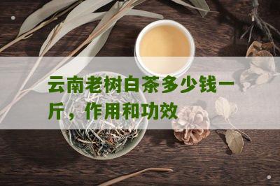 云南老树白茶多少钱一斤，作用和功效