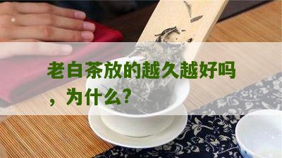 老白茶放的越久越好吗，为什么?