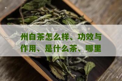 州白茶怎么样、功效与作用、是什么茶、哪里