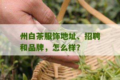 州白茶服饰地址、招聘和品牌，怎么样？