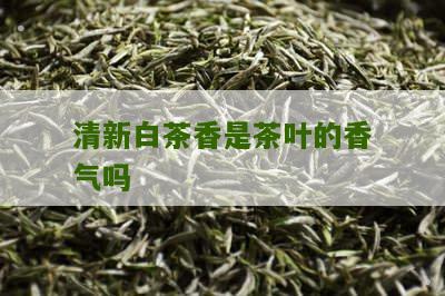 清新白茶香是茶叶的香气吗