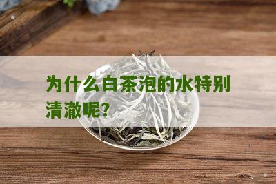 为什么白茶泡的水特别清澈呢？