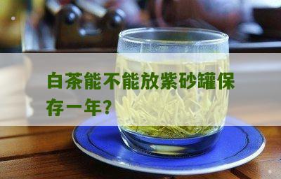 白茶能不能放紫砂罐保存一年？