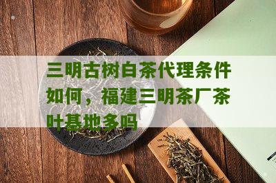 三明古树白茶代理条件如何，福建三明茶厂茶叶基地多吗