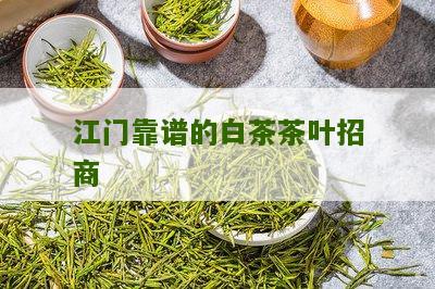 江门靠谱的白茶茶叶招商