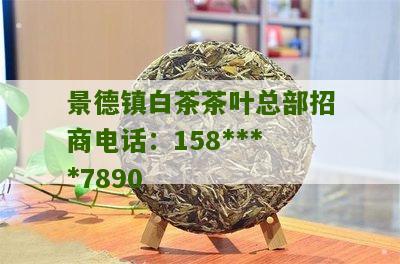 景德镇白茶茶叶总部招商电话：158****7890