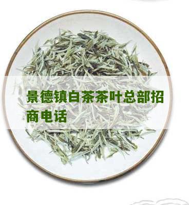 景德镇白茶茶叶总部招商电话