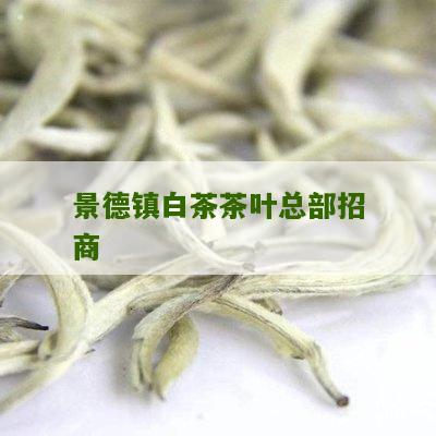 景德镇白茶茶叶总部招商