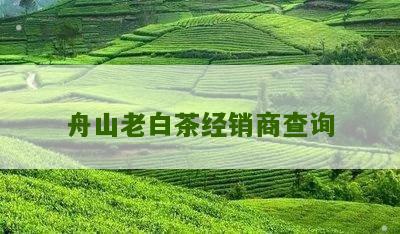 舟山老白茶经销商查询