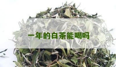 一年的白茶能喝吗