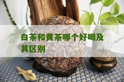 白茶和黄茶哪个好喝及其区别