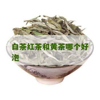 白茶红茶和黄茶哪个好泡