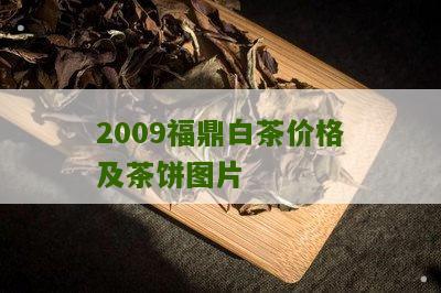 2009福鼎白茶价格及茶饼图片