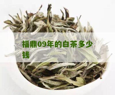 福鼎09年的白茶多少钱