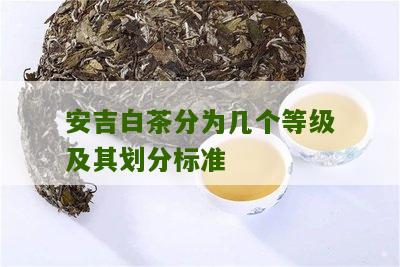 安吉白茶分为几个等级及其划分标准