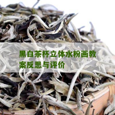 黑白茶杯立体水粉画教案反思与评价