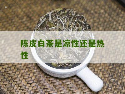 陈皮白茶是凉性还是热性