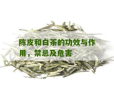 陈皮和白茶的功效与作用，禁忌及危害