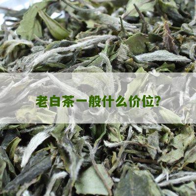 老白茶一般什么价位？