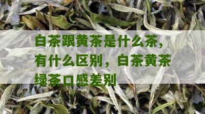 白茶跟黄茶是什么茶,有什么区别，白茶黄茶绿茶口感差别