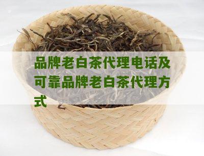 品牌老白茶代理电话及可靠品牌老白茶代理方式