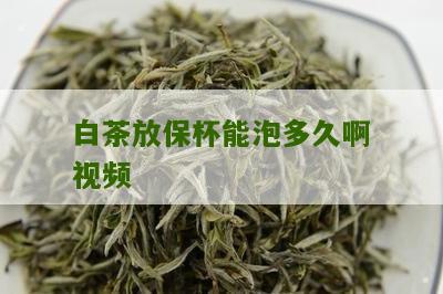 白茶放保杯能泡多久啊视频