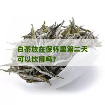 白茶放在保杯里第二天可以饮用吗？