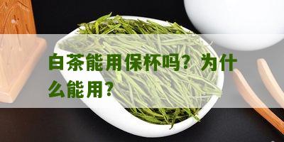 白茶能用保杯吗？为什么能用？