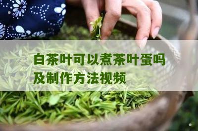 白茶叶可以煮茶叶蛋吗及制作方法视频