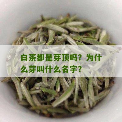 白茶都是芽顶吗？为什么芽叫什么名字？