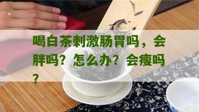 喝白茶刺激肠胃吗，会胖吗？怎么办？会瘦吗？