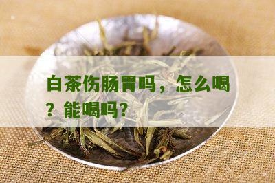 白茶伤肠胃吗，怎么喝？能喝吗？