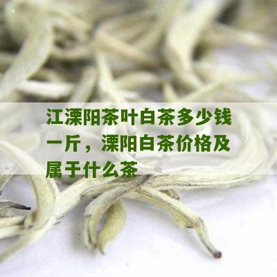 江溧阳茶叶白茶多少钱一斤，溧阳白茶价格及属于什么茶