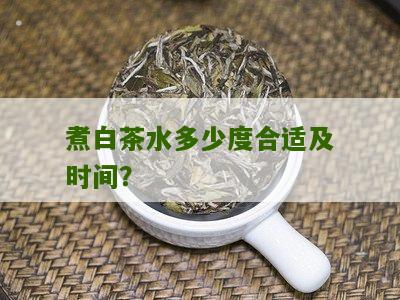 煮白茶水多少度合适及时间？