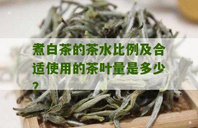 煮白茶的茶水比例及合适使用的茶叶量是多少？