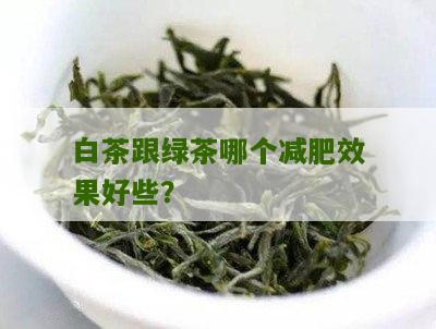 白茶跟绿茶哪个减肥效果好些？