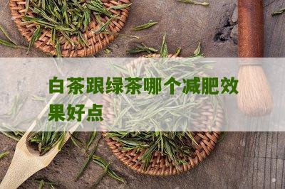 白茶跟绿茶哪个减肥效果好点