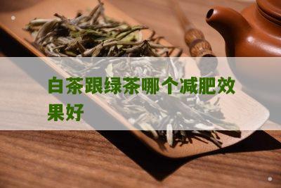 白茶跟绿茶哪个减肥效果好