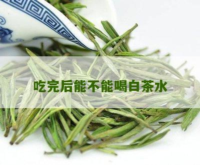 吃完后能不能喝白茶水