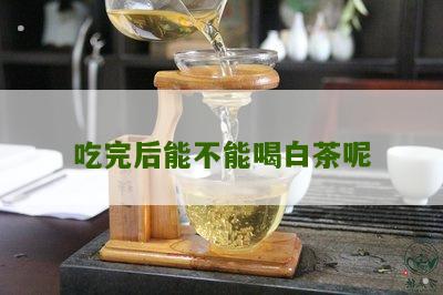 吃完后能不能喝白茶呢