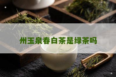 州玉泉春白茶是绿茶吗