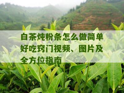 白茶炖粉条怎么做简单好吃窍门视频、图片及全方位指南