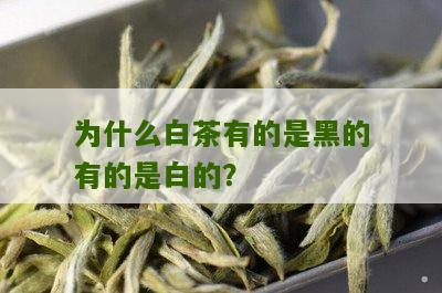 为什么白茶有的是黑的有的是白的？