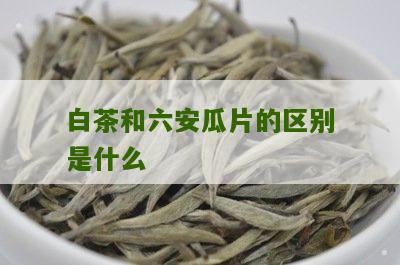 白茶和六安瓜片的区别是什么