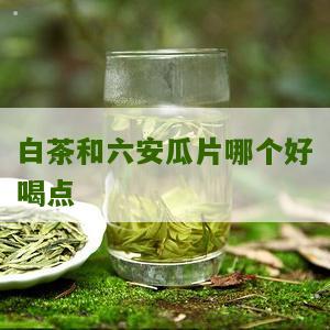 白茶和六安瓜片哪个好喝点