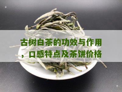 古树白茶的功效与作用，口感特点及茶饼价格