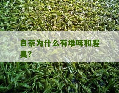 白茶为什么有堆味和腥臭？